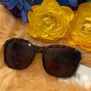 Women’s Sunglasses West Loop Brown Clear Mix Sunglasses NEW!